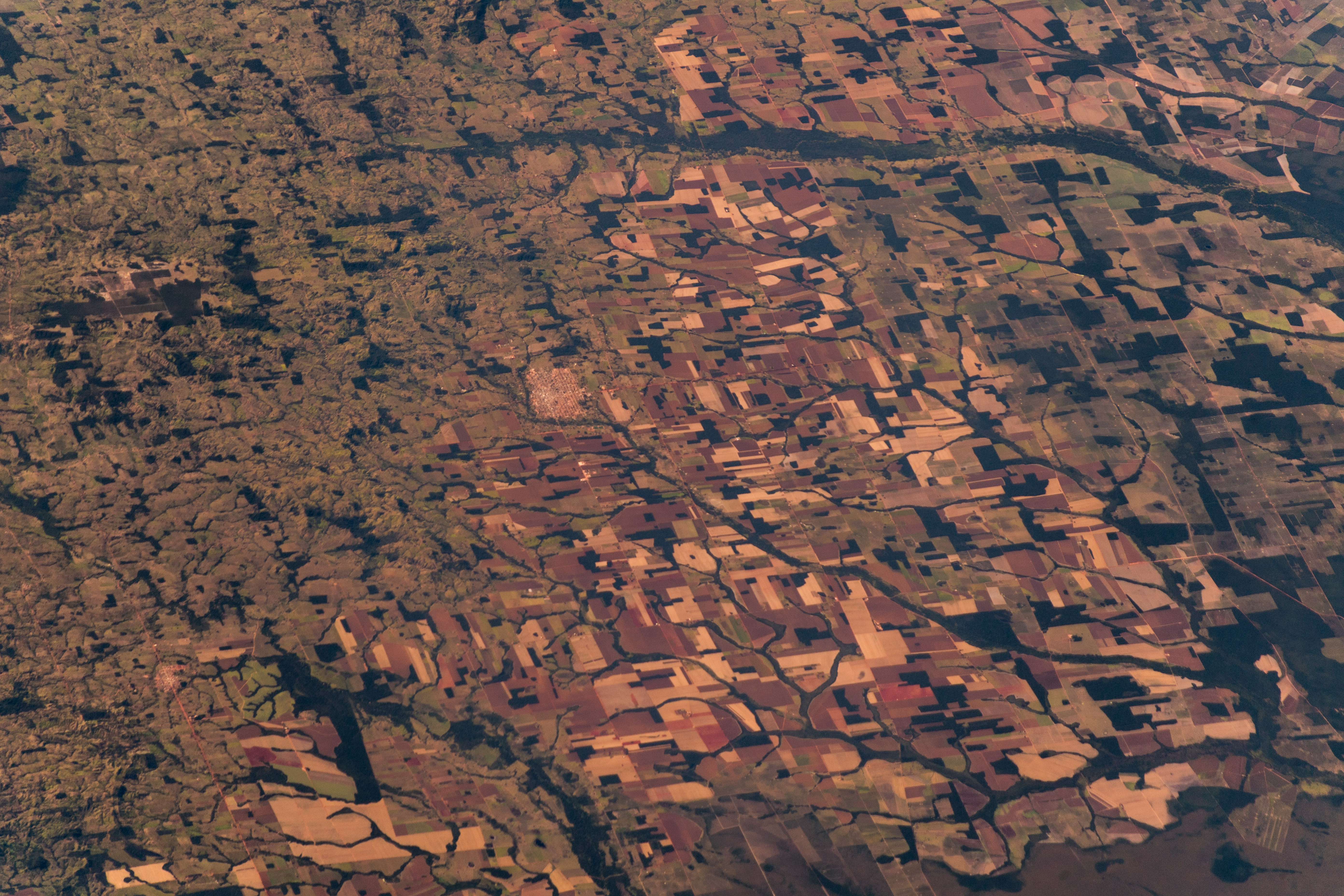 사진(Unsplash): 아마존·에탄올·농장(자료). Section 301.